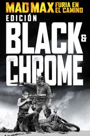 Mad Max: Furia en el camino