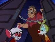 Pinky and the Brain - Episode 3x08