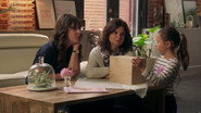 Episode 5: Episode 5
