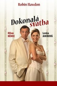 Poster Dokonalá svatba 2011