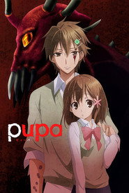 Pupa poster