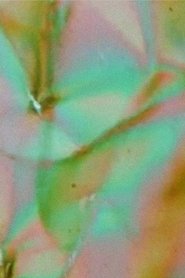 Poster The Galilean Satellites- Ganymede 2003