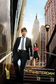 New Amsterdam (2008) online ελληνικοί υπότιτλοι