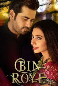 Poster Bin Roye 2015