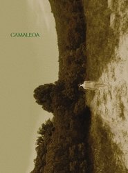 Poster Camaleoa 2023