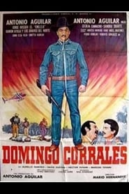 Poster Domingo Corrales