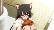 Tsubasa Cat (3)