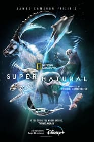 Super/Natural постер