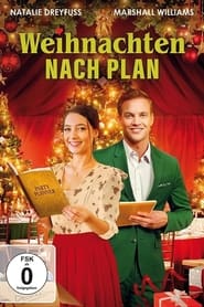 Poster Weihnachten nach Plan