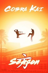 Cobra Kai - Season 1 Episode 1 : Ace Degenerate