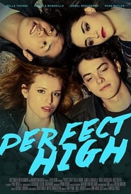 Perfect High постер