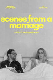 Szenen einer Ehe (1973)