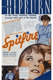 Spitfire постер