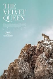 The Velvet Queen постер