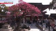 Faith in Tenjin - Prayers from across Japan