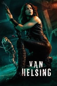 Poster van Van Helsing