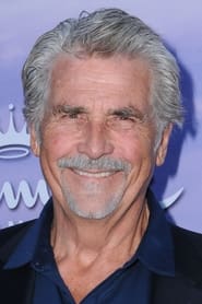 Profile picture of James Brolin who plays Narrator (voice)