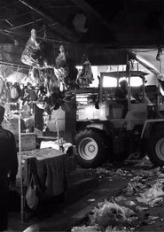 Pagi Yang Sungsang (2018)