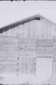 Tobacco Barns Light Studies