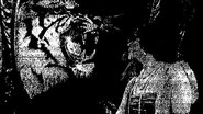 The Tiger Woman en streaming