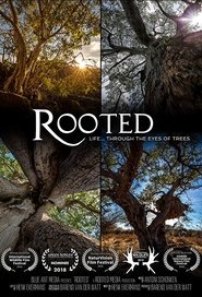 Rooted Episode Rating Graph poster