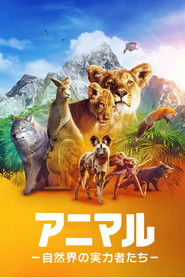 アニマル －自然界の実力者たち－