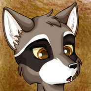 Rocketeer Raccoon avatar