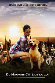 Du mauvais côté de la loi