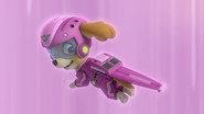 Pups Save Their Floating Friends