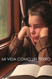 Mi vida como un perro (1985)