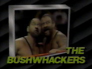 April 15, 1989 - Superstars of Wrestling 137