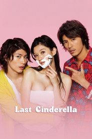 The Last Cinderella (2013)