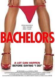 Poster Bachelors 2015