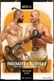 UFC 282: Blachowicz vs. Ankalaev постер