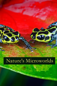Nature's Microworlds постер