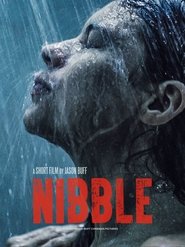 Poster Nibble 2016