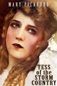 Tess of the Storm Country постер