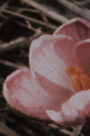 Kumbum 1+1 (1975-1987)