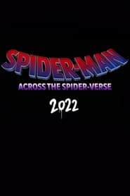 Spider-Man: Into the Spider-Verse 2 (2022)