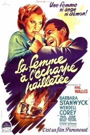 La Femme à l'écharpe pailletée streaming