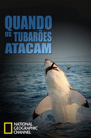 Quando os Tubarões Atacam — Temporada 1