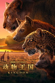 Kingdom poster