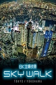 8K Aerial Night View:Sky Walk Tokyo and Yokohama