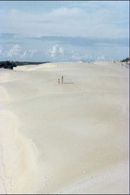 Itaúnas: Desastre Ecológico