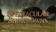 Spectacular Showdowns