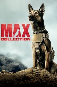 Max - Saga en streaming