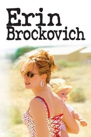 Poster Erin Brockovich 2000