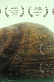 Poster Valse 2013