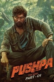 Pushpa: The Rise – Part 1 (2021) Dual Audio [Hindi ORG & Telugu] Download & Watch Online WEB-DL 480p, 720p & 1080p