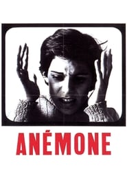 Poster Anémone